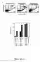 Fig. 04 - Methods for use of apoptotic cells to deliver antigen to dendritic cells for induction or tolerization of T cells