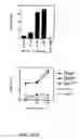 Fig. 05 - Methods for use of apoptotic cells to deliver antigen to dendritic cells for induction or tolerization of T cells