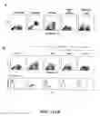 Fig. 17 - Methods for use of apoptotic cells to deliver antigen to dendritic cells for induction or tolerization of T cells
