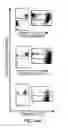 Fig. 26 - Methods for use of apoptotic cells to deliver antigen to dendritic cells for induction or tolerization of T cells