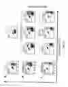 Fig. 28 - Methods for use of apoptotic cells to deliver antigen to dendritic cells for induction or tolerization of T cells