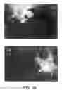 Fig. 29 - Methods for use of apoptotic cells to deliver antigen to dendritic cells for induction or tolerization of T cells