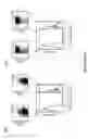 Fig. 37 - Methods for use of apoptotic cells to deliver antigen to dendritic cells for induction or tolerization of T cells