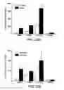 Fig. 40 - Methods for use of apoptotic cells to deliver antigen to dendritic cells for induction or tolerization of T cells
