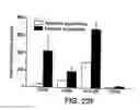 Fig. 41 - Methods for use of apoptotic cells to deliver antigen to dendritic cells for induction or tolerization of T cells