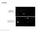 Fig. 05 - Transfection reagents