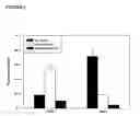 Fig. 07 - Transfection reagents