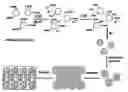 Fig. 01 - Method of producing hybrid polymer-inorganic materials