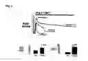 Fig. 09 - TRPC6 involved in glomerulonephritis
