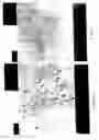 Fig. 06 - Composition and method for the therapeutic modulation of matrix metalloproteinase
