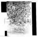 Fig. 08 - Composition and method for the therapeutic modulation of matrix metalloproteinase