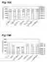 Fig. 11 - Method of producing malt alcohol beverages