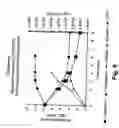 Fig. 07 - Yeast compositions and starter cultures