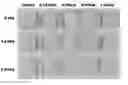Fig. 01 - METHOD TO REDUCE PINK COLOR IN LIGHT COLORED, COOKED, UNCURED MEATS