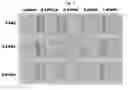 Fig. 03 - METHOD TO REDUCE PINK COLOR IN LIGHT COLORED, COOKED, UNCURED MEATS