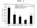 Fig. 04 - Plant seed extract composition and process for producing the same