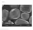 Fig. 03 - Manufacturing method of light-emitting material
