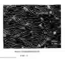 Fig. 05 - Plasma polymerization of atomically modified surfaces