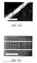 Fig. 20 - Systems and methods for producing single-walled carbon nanotubes (SWNTs) on a substrate
