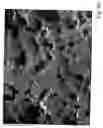 Fig. 06 - Coated printing sheet and process for making same