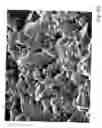 Fig. 09 - Coated printing sheet and process for making same