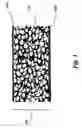 Fig. 02 - Foamed pet packaging