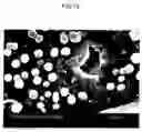 Fig. 08 - Composite of aluminum alloy and resin composition and process for producing the same