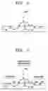 Fig. 04 - Microfluidic device and method of manufacturing the same