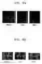 Fig. 05 - Microfluidic device and method of manufacturing the same