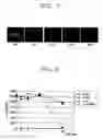 Fig. 06 - Microfluidic device and method of manufacturing the same