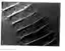 Fig. 01 - Watermarked polymeric sheet