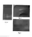 Fig. 04 - Watermarked polymeric sheet
