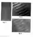 Fig. 06 - Watermarked polymeric sheet