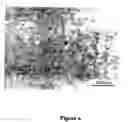 Fig. 05 - Articles with dispersed conductive coatings