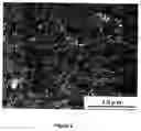 Fig. 06 - Articles with dispersed conductive coatings