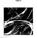 Fig. 15 - Electrically conductive film, actuator element and method for producing the same