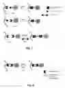 Fig. 03 - Pressure-sensitive adhesives and process for preparing them