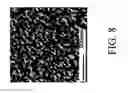 Fig. 09 - Nanoporous fiber with unconnected pores for improved adsorptivity