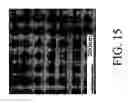 Fig. 16 - Nanoporous fiber with unconnected pores for improved adsorptivity