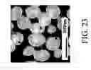 Fig. 24 - Nanoporous fiber with unconnected pores for improved adsorptivity