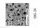 Fig. 25 - Nanoporous fiber with unconnected pores for improved adsorptivity
