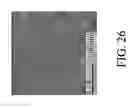 Fig. 27 - Nanoporous fiber with unconnected pores for improved adsorptivity