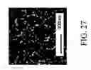 Fig. 28 - Nanoporous fiber with unconnected pores for improved adsorptivity