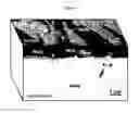 Fig. 04 - High performance alloys with improved metal dusting corrosion resistance