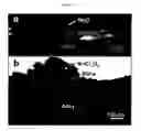 Fig. 06 - High performance alloys with improved metal dusting corrosion resistance