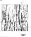 Fig. 02 - Biodegradable resin film or sheet and process for producing the same