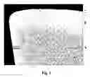 Fig. 02 - Coated cemented carbide with binder phase enriched surface zone