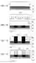 Fig. 02 - Bilayer film including an underlayer having vertical acid transport properties