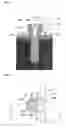 Fig. 02 - Orthodontic base