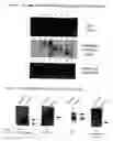Fig. 02 - Method of screening for therapeutics for infectious diseases